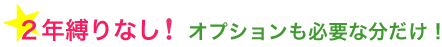 ２年縛りなし！オプションも必要な分だけ！